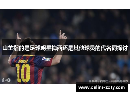 山羊指的是足球明星梅西还是其他球员的代名词探讨